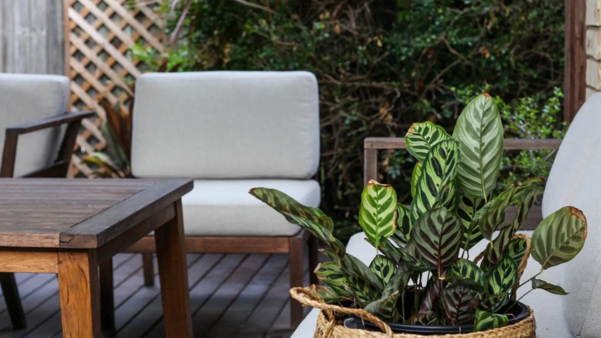Leafy Retreat Townhouse Near Airport & City Brisbane Apartment